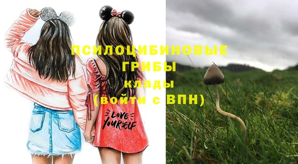 кокс Кинешма